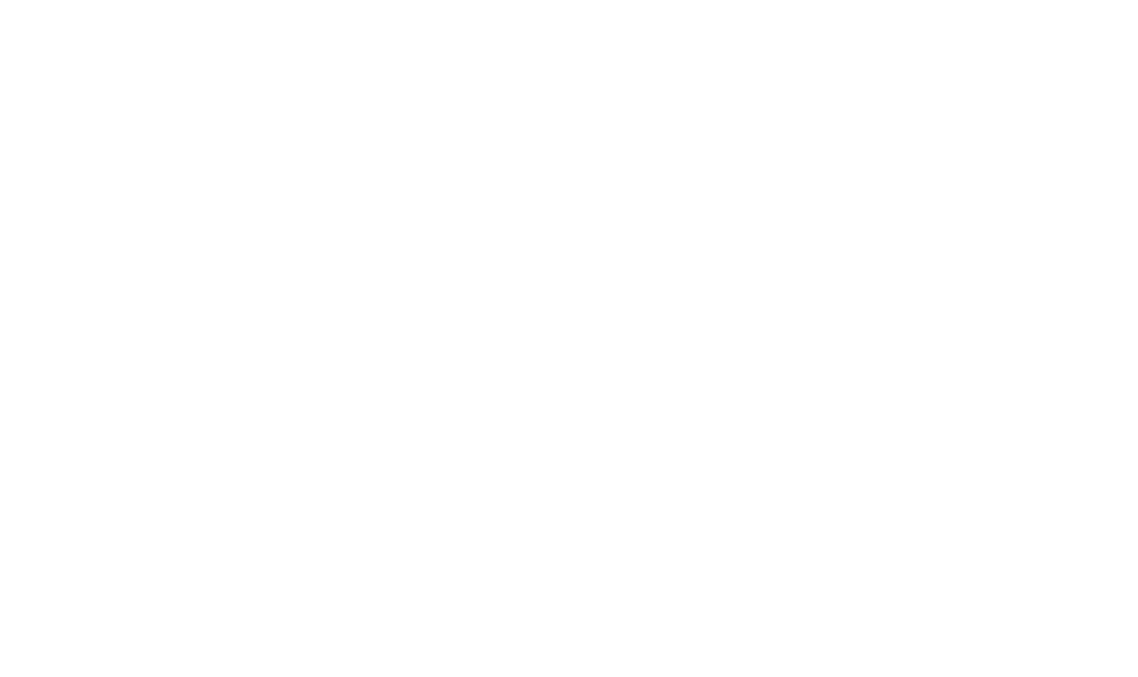 logo gnm